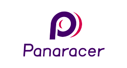 Panaracer Tour Reflective Wire Bead Tyre
