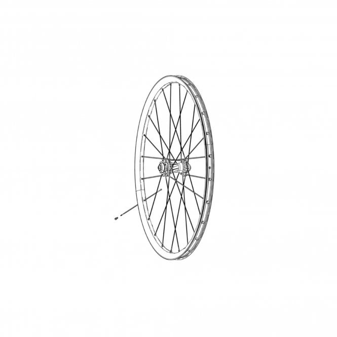 Zipp Spokes & Nipples & Washers Cx Ray Straight-Pull External Hex Secure Lock Oxide 264Mm (3 Pcs)
